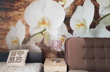 Apartament Orchidea
