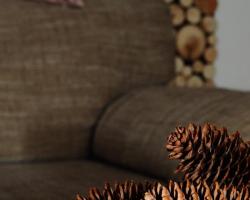 Apartament Orzechowy