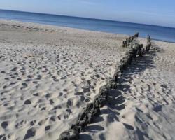 Apartment Kniewskiego