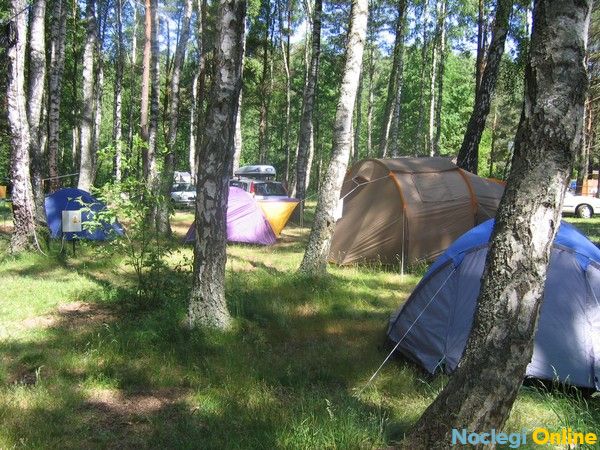 Camping Leśne