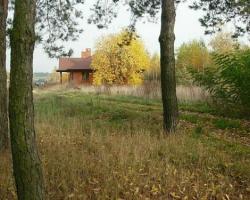 Dom Dziecinów