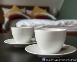 Dream Team Zamoyskiego