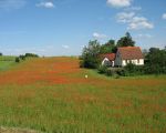 Minihotelik Giżycko