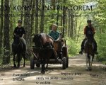 Agroturystyka Stajnia za Wsią
