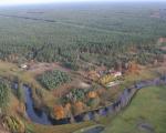 Jeleniec