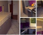Frog Hostel