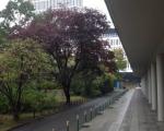 Apartamenty Boya