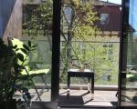 Apartament Dream