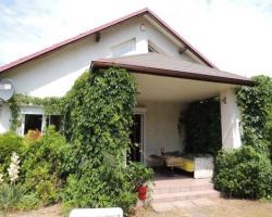 Lipiankowa Przystań